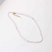 Trendy Jewelry 18K PVD Gold Plated Stainless Steel Pearl Chain Necklace Irregular Pearl Baroque Elegant Dinner Necklace